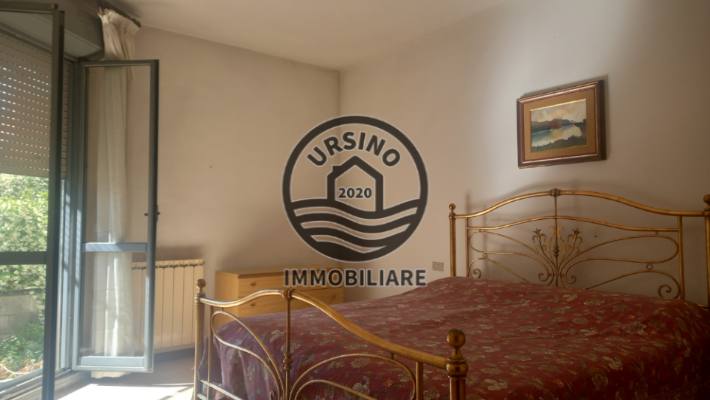 Foto codice 809
